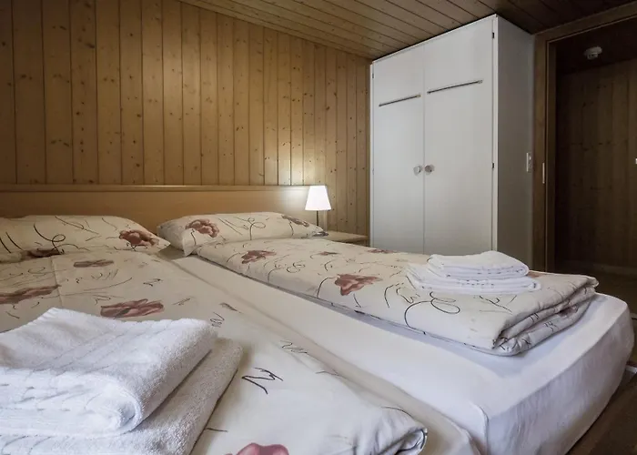 Roessli Apartment Interlaken